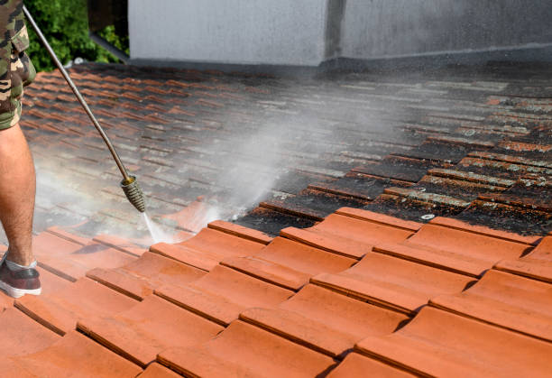 Best Roof Pressure Washing  in Timberville, VA