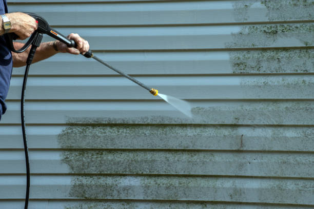 Best Local Pressure Washing Services  in Timberville, VA