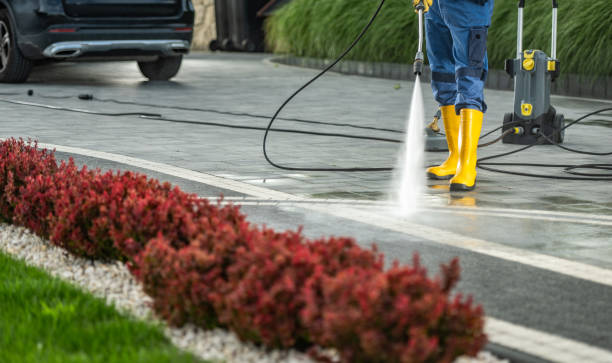 Best Sidewalk Pressure Washing  in Timberville, VA