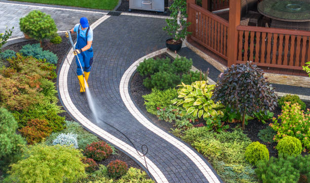 Best Affordable Power Washing  in Timberville, VA